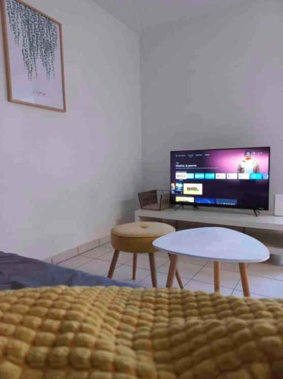 Superbe T2 Avec Parking Prive Apartment Agen Ngoại thất bức ảnh